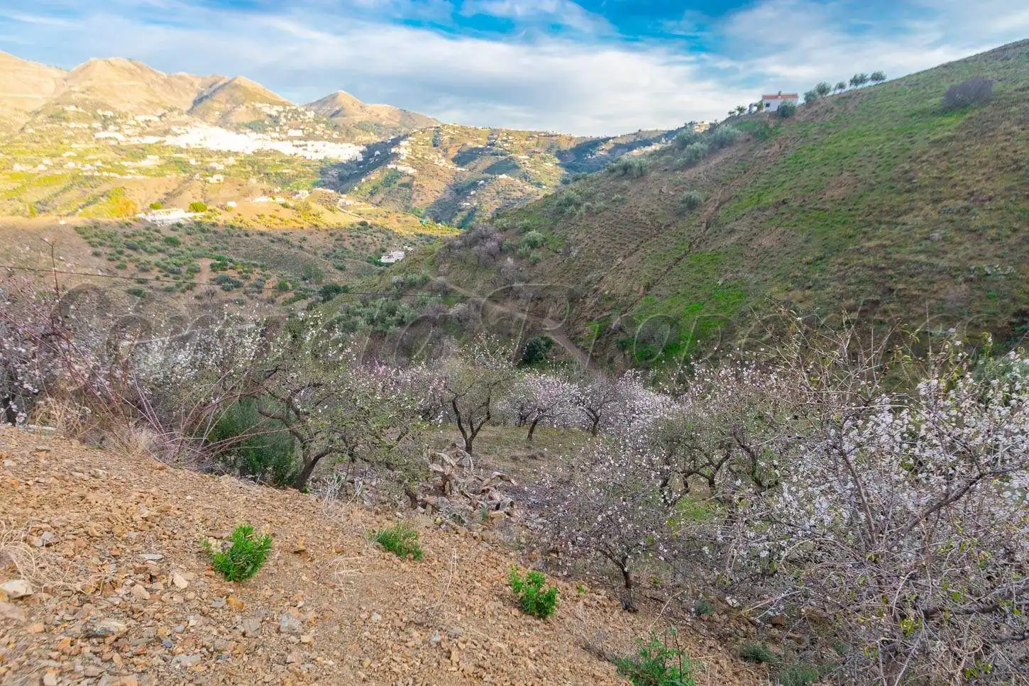 Terreno rustico in vendita a Árchez, imagen 7