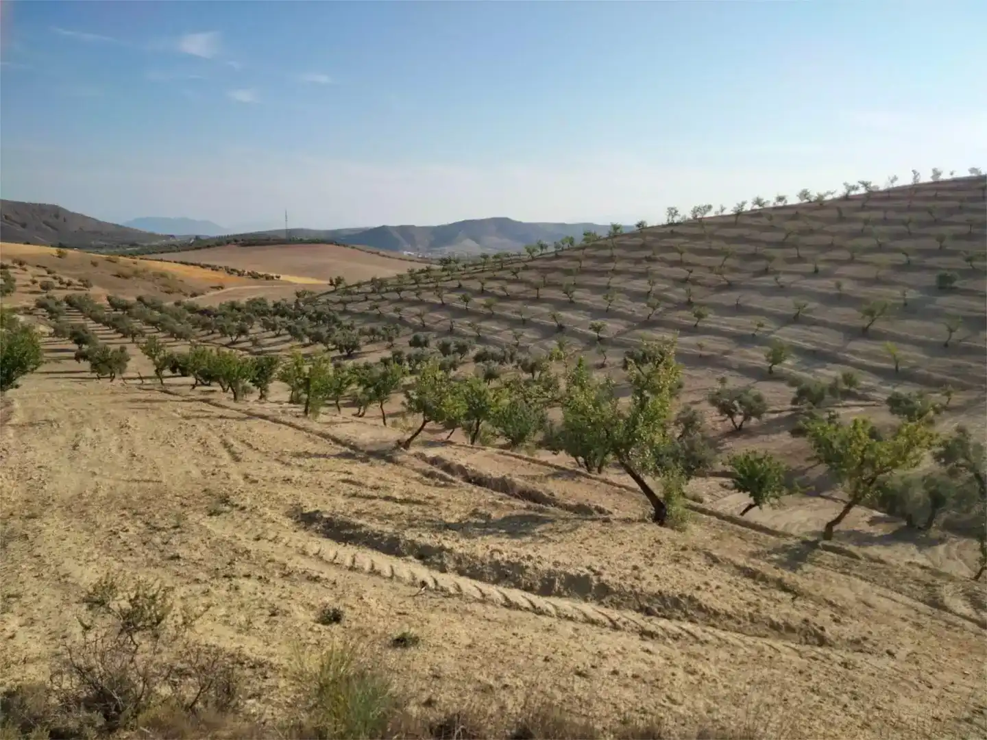 Finca rústica en venda en Escúzar