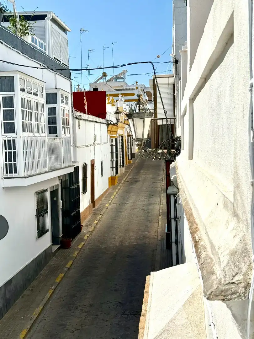 Maison mitoyenne avec terrasse à vendre à El Carmen, imagen 52
