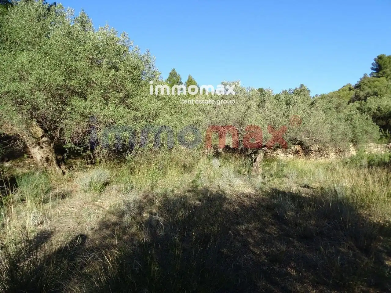 Terrain résidentiel à vendre à 16, imagen 6