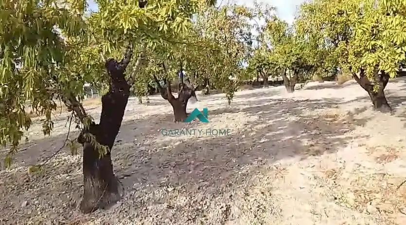 Terreni e lotti in vendita a Torredelcampo, imagen 2
