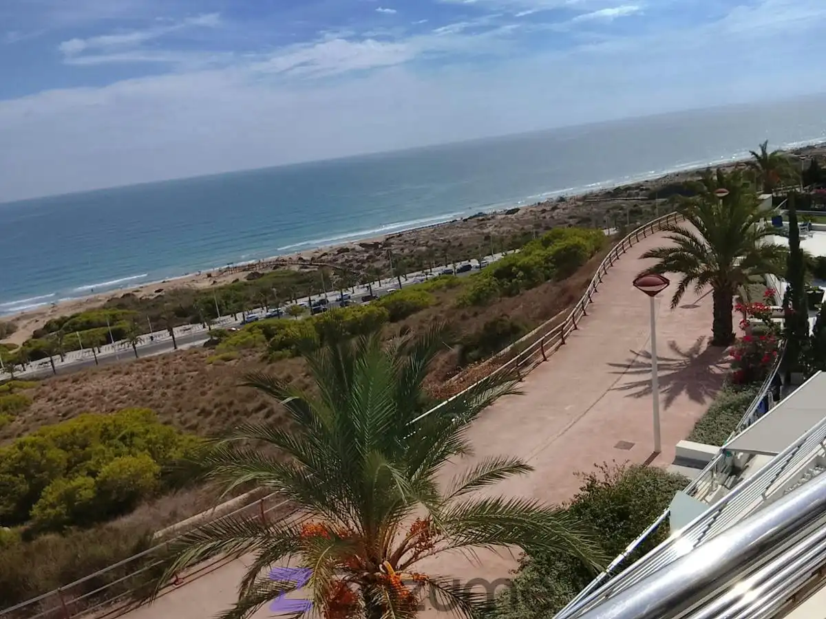 Vista exterior de Apartamento de alquiler en Los Arenales del Sol