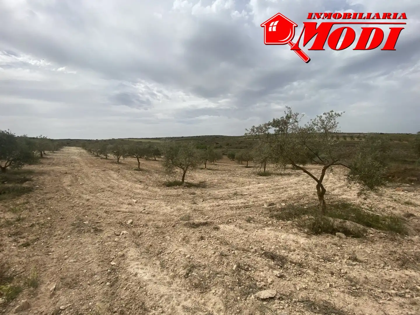 Terrenys i solars en venda a Padul, imagen 7