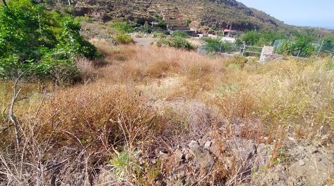 Foto 3 de Terreno en venta en Camino el Barranco, Centro, Güímar