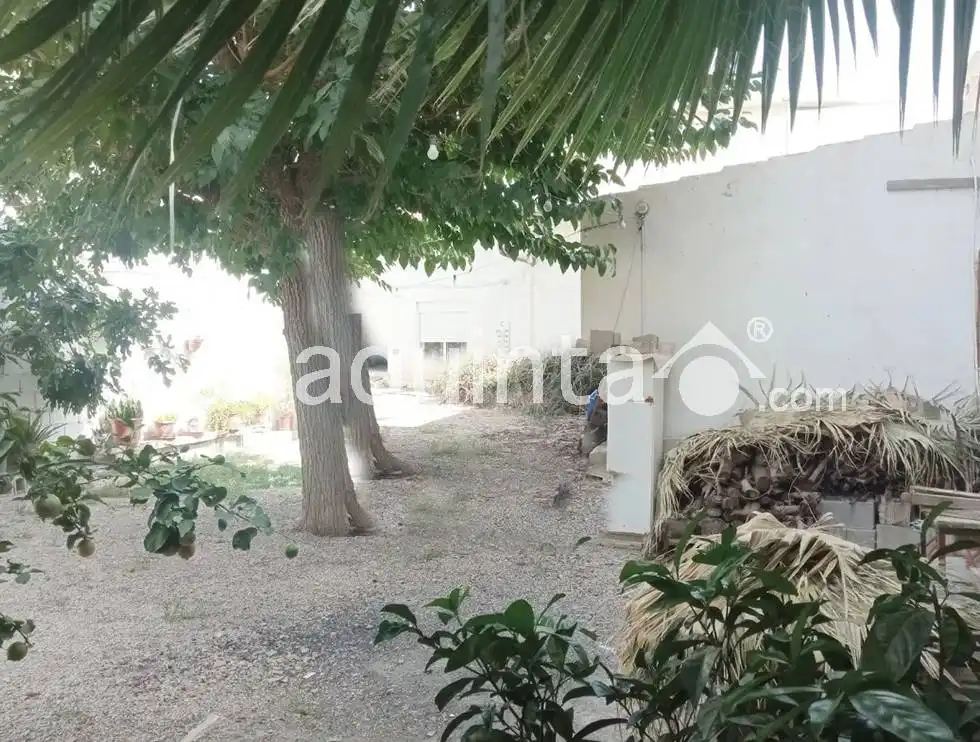 Villa in vendita a C. Luis Vives M, imagen 7
