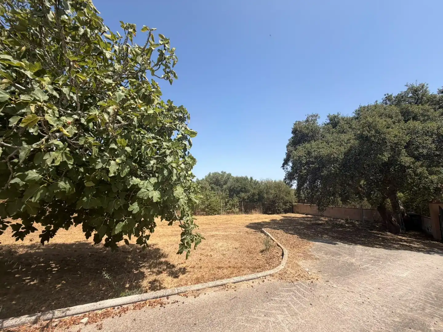 Casa rústica amb jardí en venda a Pelagatos - Pago del Humo, imagen 11