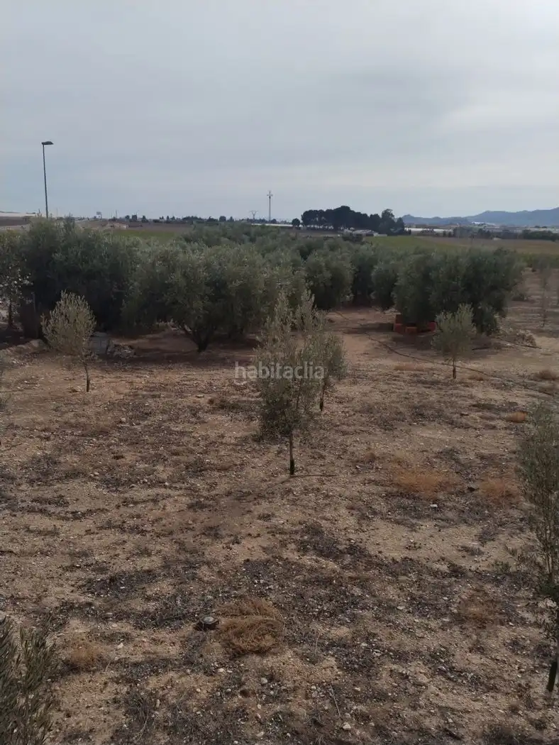 Villa in vendita a Calle Joaquín Mondéjar 92, imagen 3