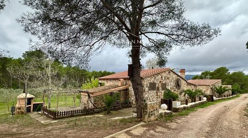 en El Perelló
