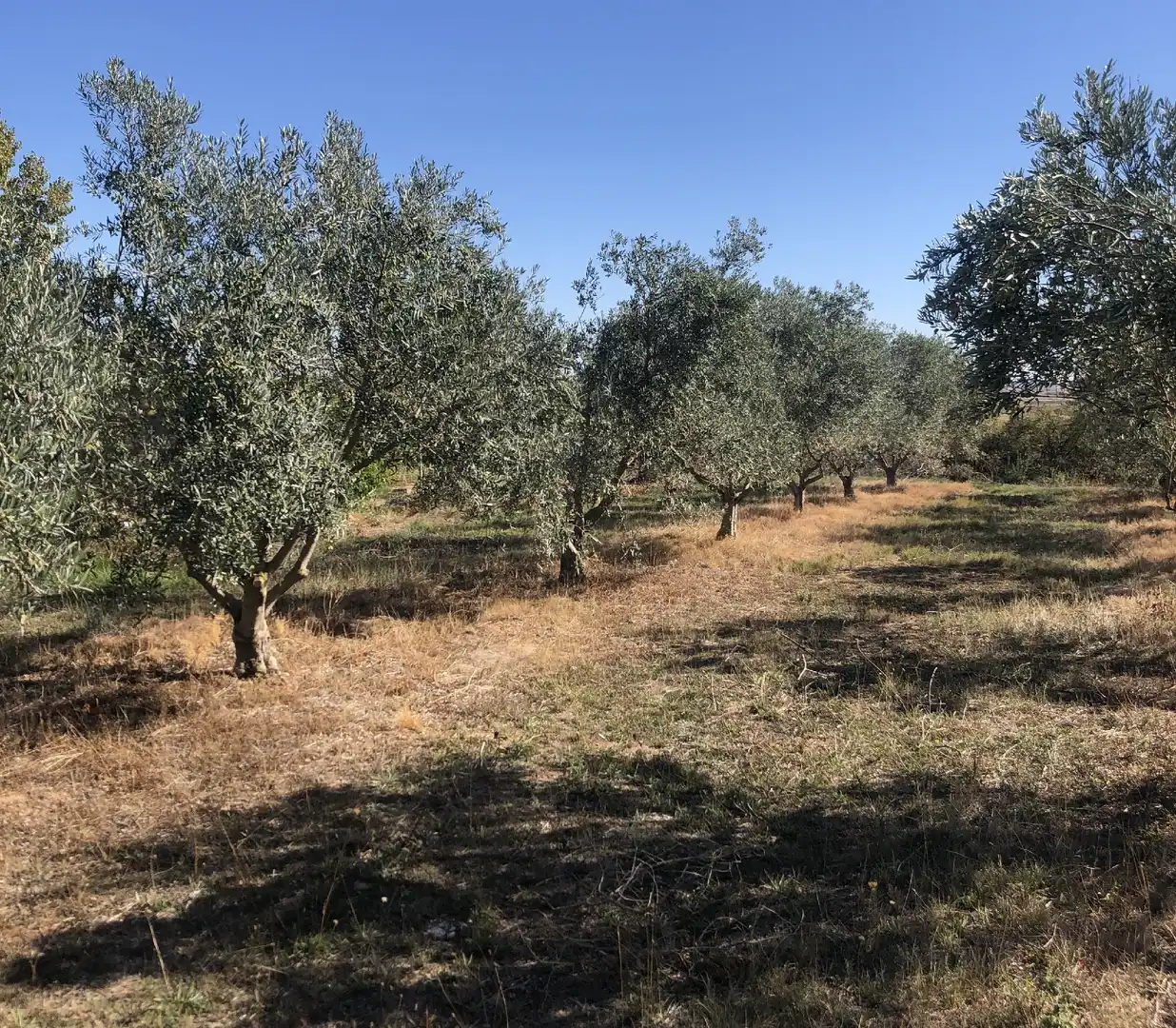 Terrenys i solars en venda a Alberite, imagen 5