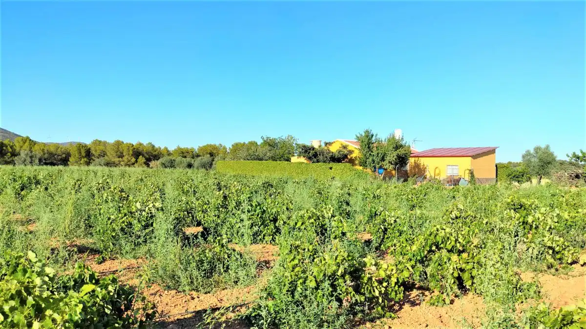 Casa rústica en venda a San Carlos del Valle (Carril de las Chozas) km 3, imagen 25