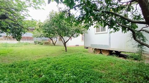 Foto 5 de Finca rústica en venta en El Juncal - Vallealto, El Puerto de Santa María