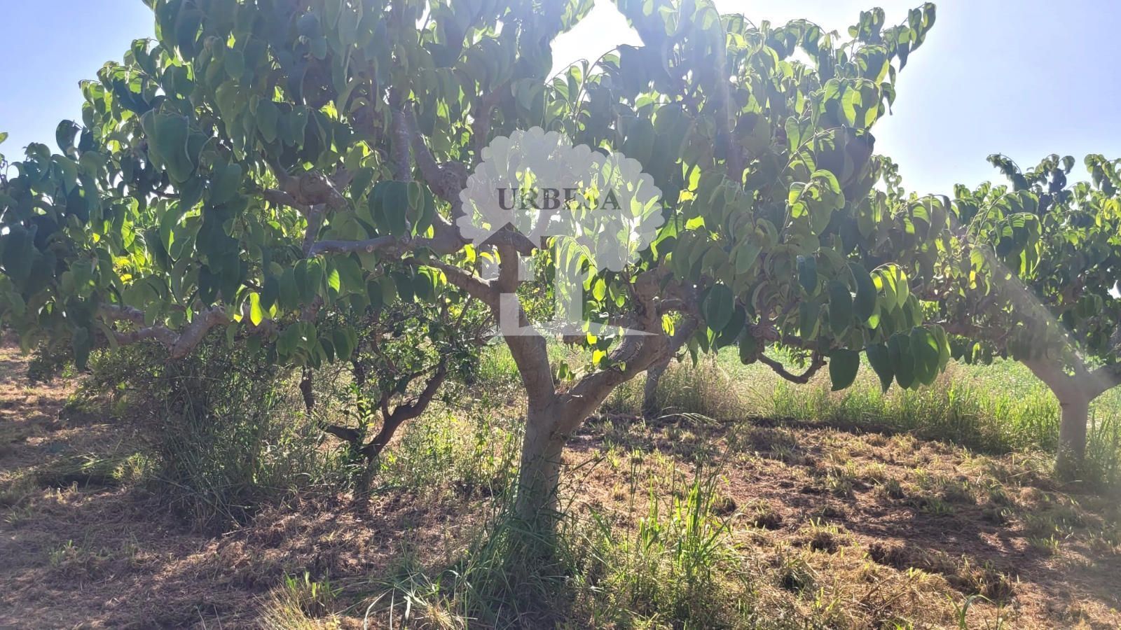 Land for sale in Torrenueva Costa