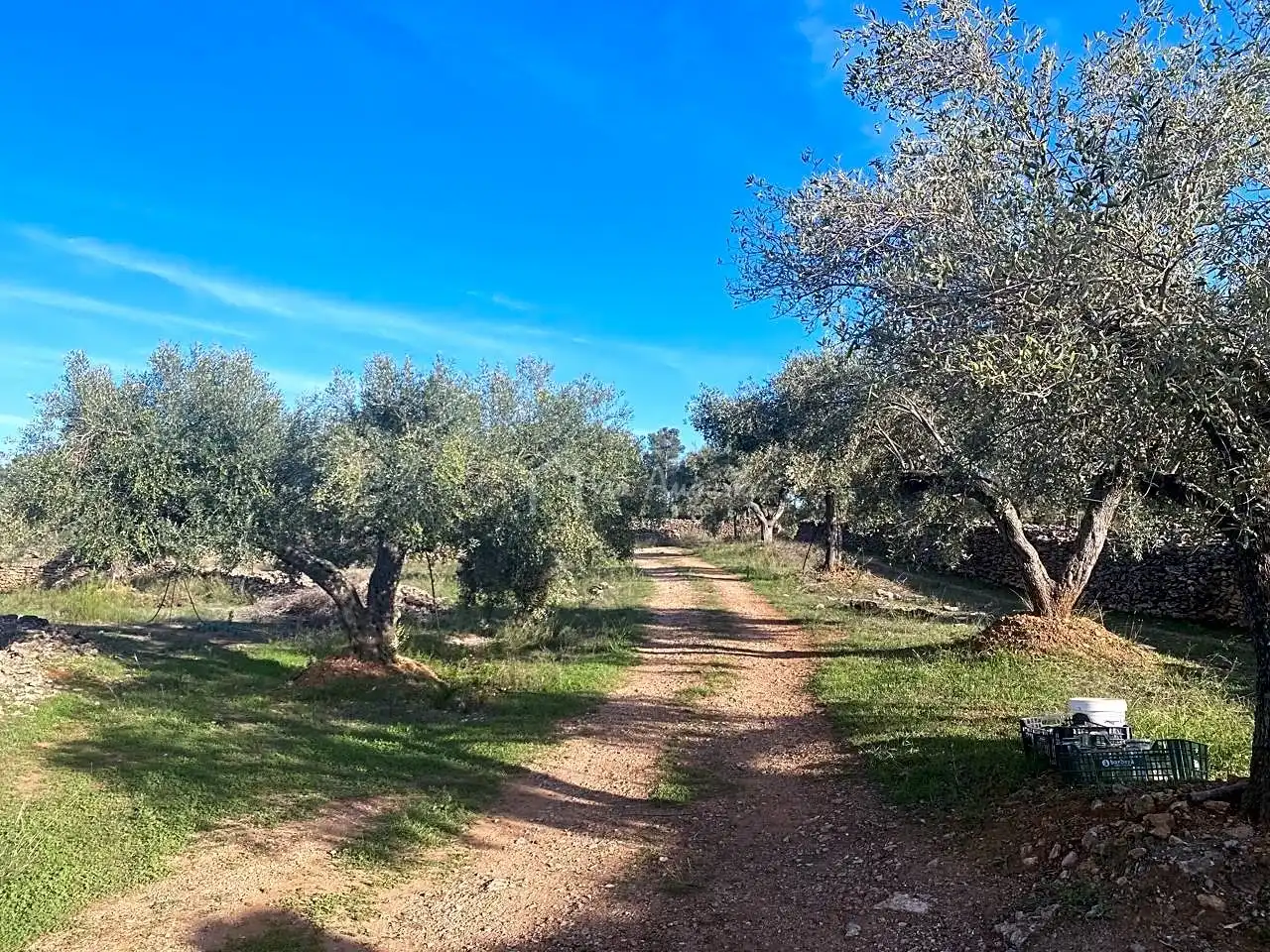 Terrain rustique à vendre à Burgà, imagen 12