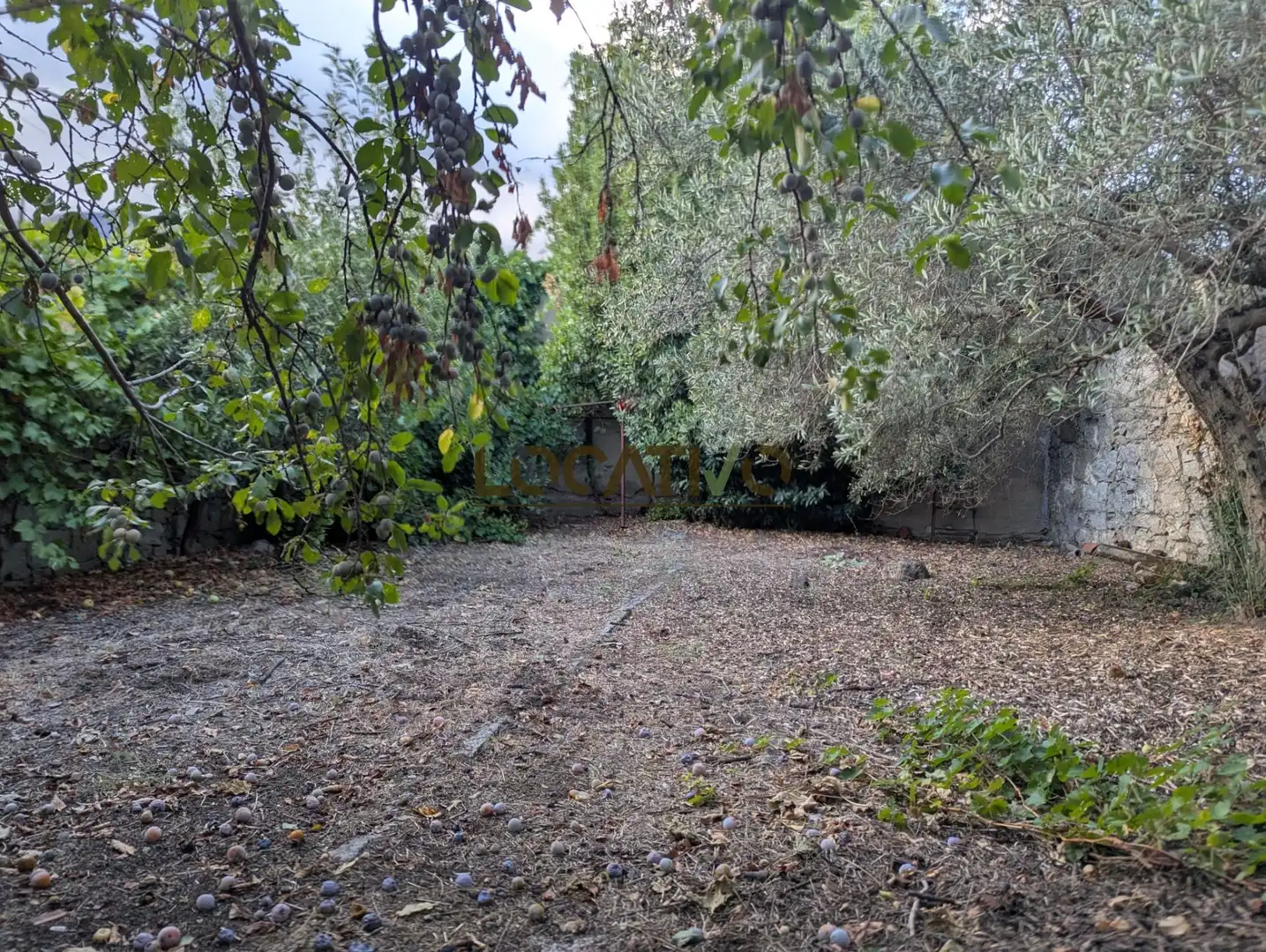Casa con giardino in vendita a Madrid, imagen 63