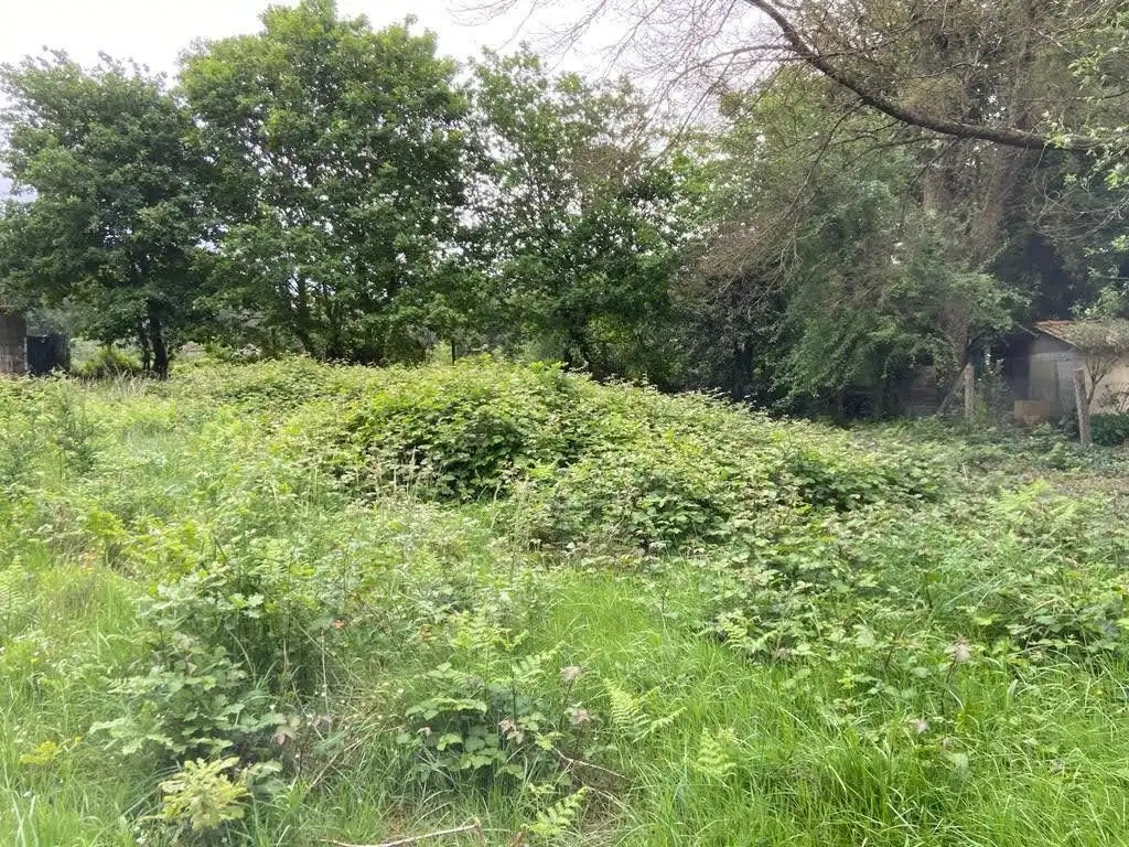 Rural land for sale in Parroquias Rurales, imagen 4