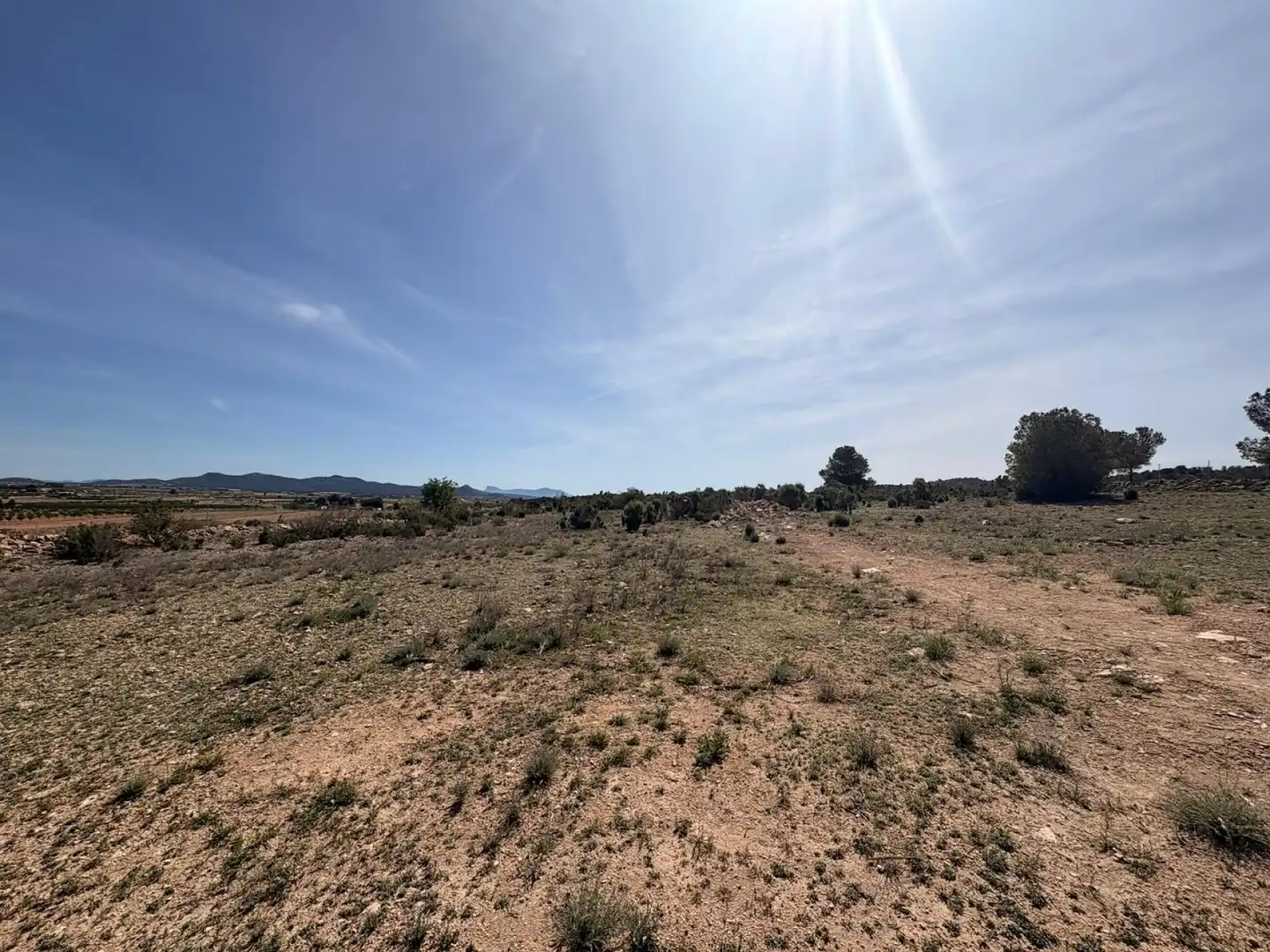 Terreno residencial en venta en El Pinós / Pinoso, imagen 8
