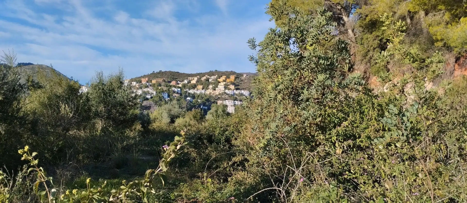 Terreny rústic en venda a L'Atzúbia, imagen 9