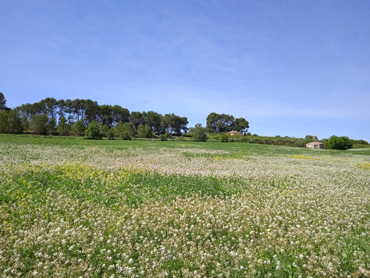 Industrial land for sale in Carrer del Canonge Francisco Vidal, 6, Agullent