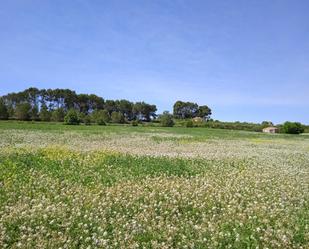 Industrial land for sale in Carrer del Canonge Francisco Vidal, 6, Agullent