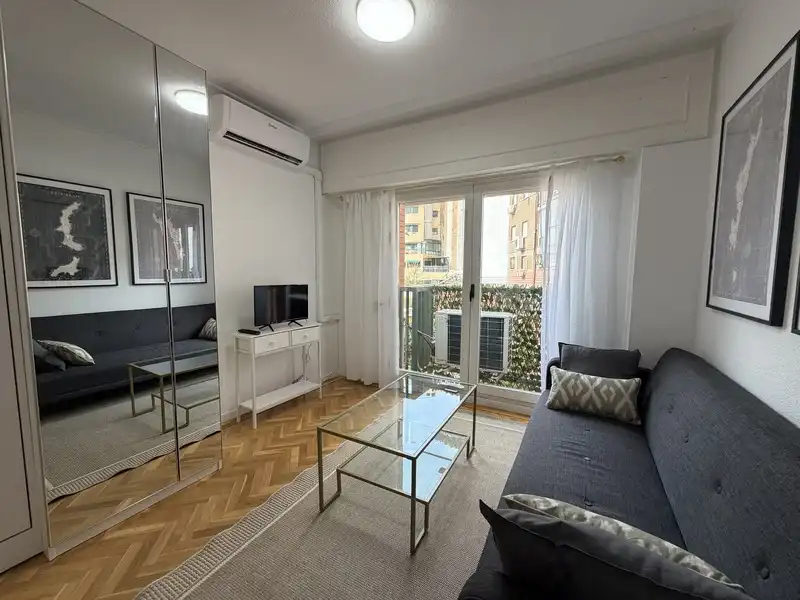 Living room of Study for rent in Madrid  with Air Conditioner and Furnished