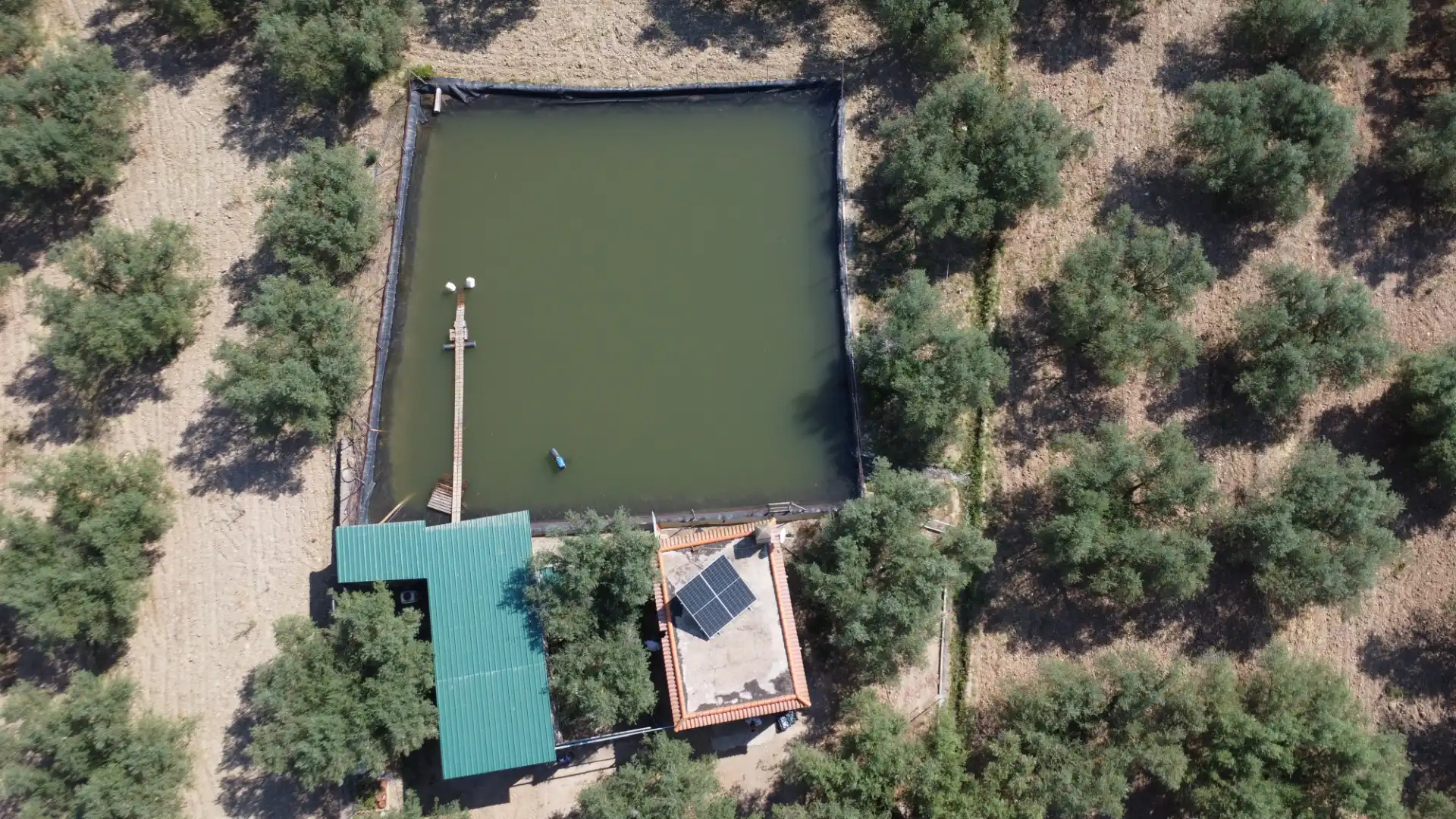 Swimming pool of Country homes for sale in Ugíjar