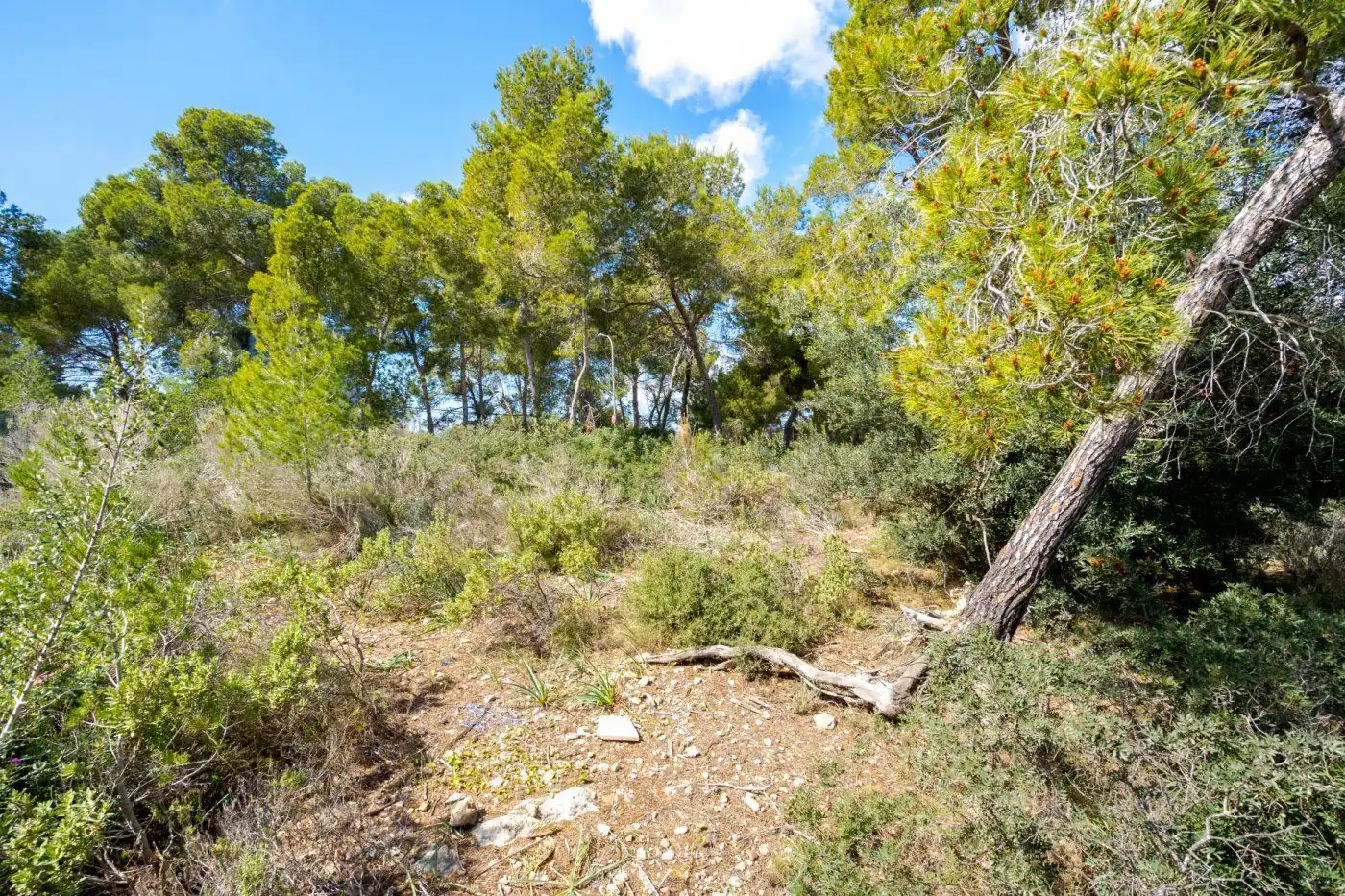 Terreno residencial en venta en Cala Vinyes, imagen 3