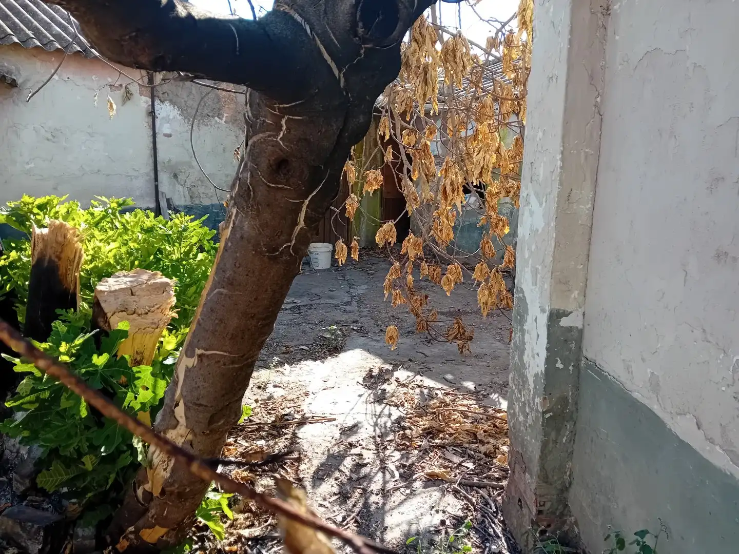 Terrenos y solares en venta en Torralba de Calatrava, imagen 4