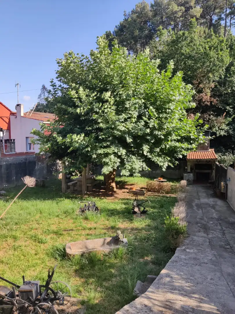 Jardí de Finca rústica en venda en Boiro amb Jardí privat