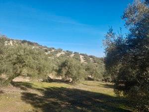 Terreno en Venta en Camino del Pato, 50 en Puerta Blanca