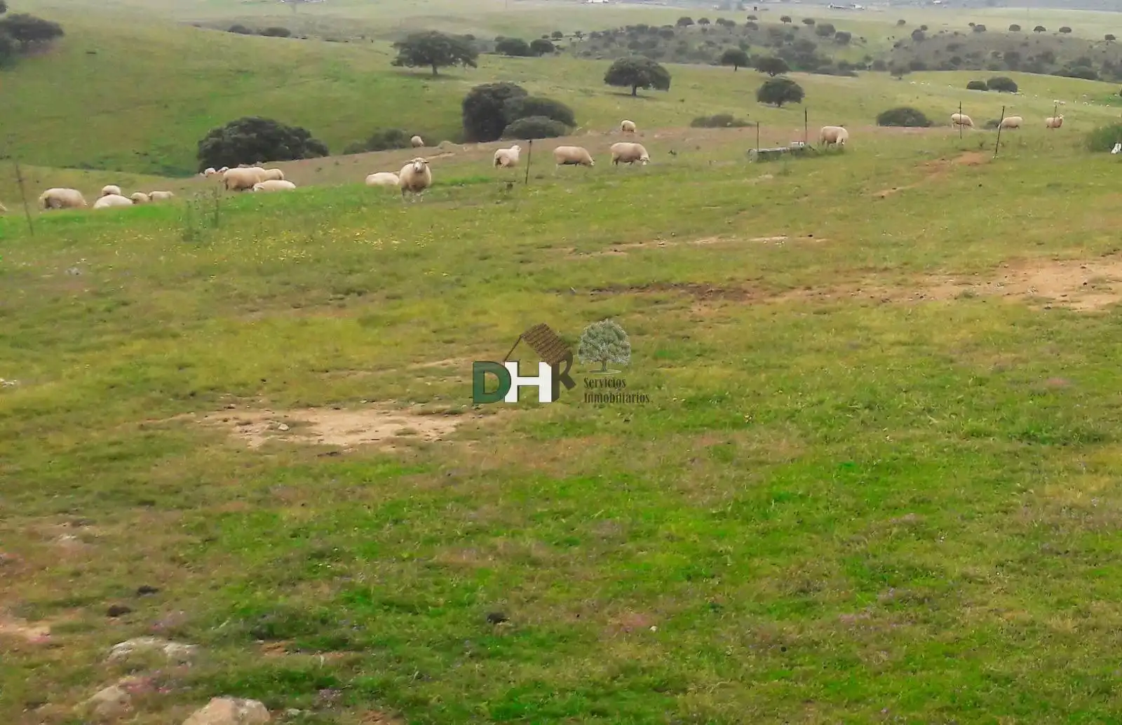 Terreni e lotti in vendita a Carretera de Sevilla - Los Montitos, imagen 5