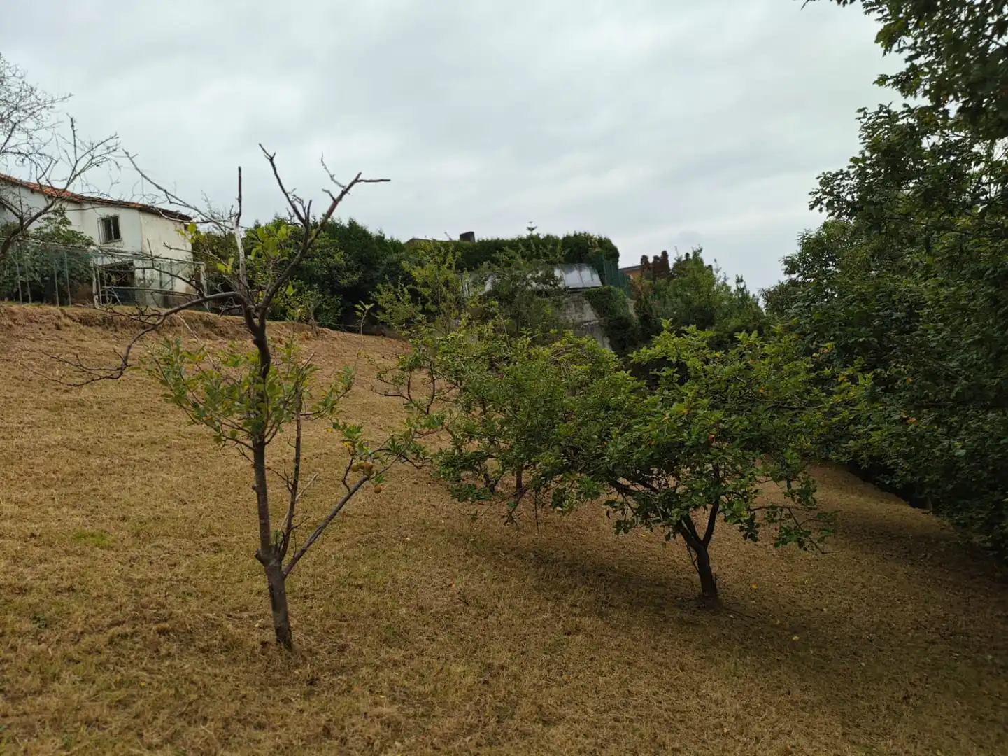 Houses for sale in Castrillón