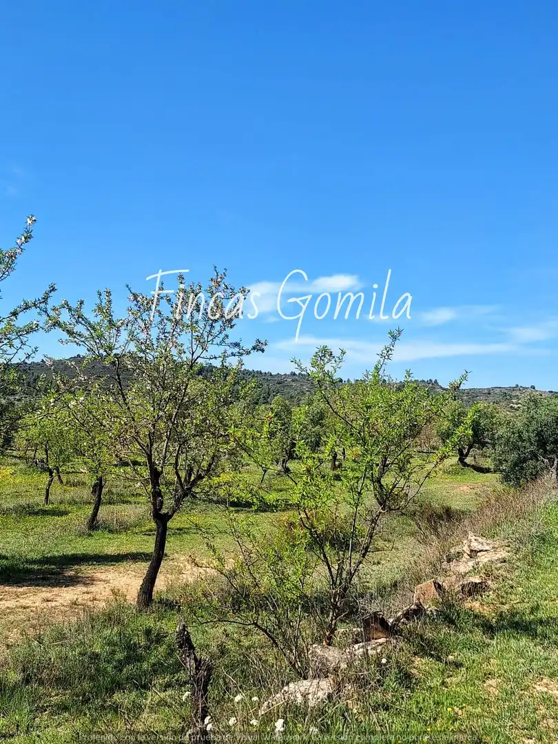 Rural land for sale in 8, imagen 17