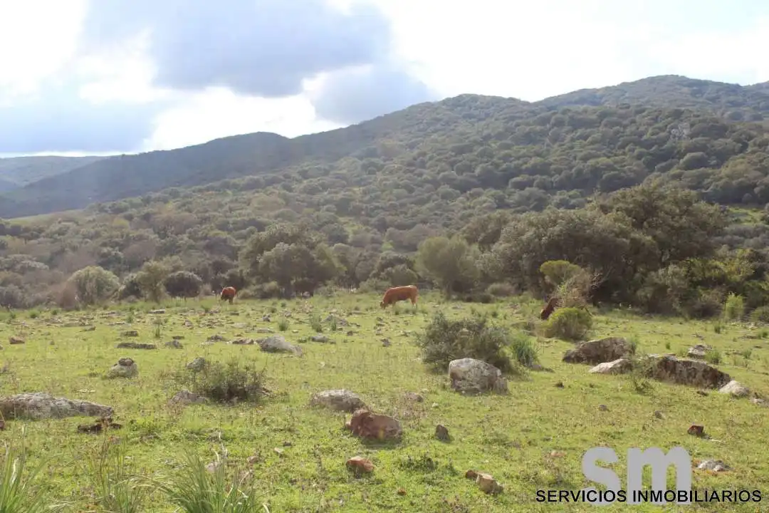 Terreni e lotti in vendita a Cortes de la Frontera, imagen 28