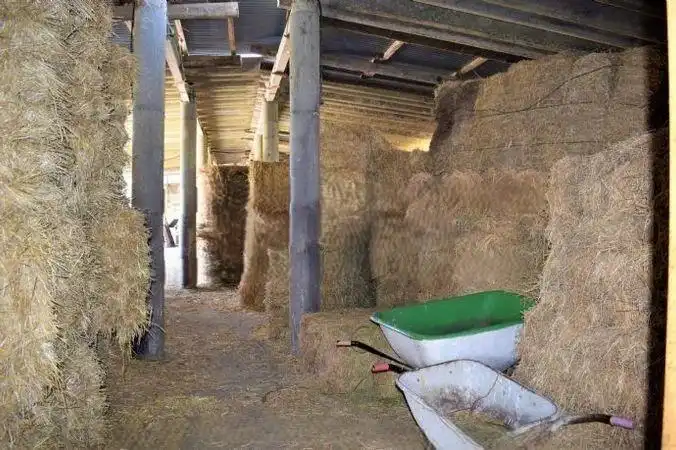 Terrenos y solares en venta en Mas Mora - Sant Daniel, imagen 35
