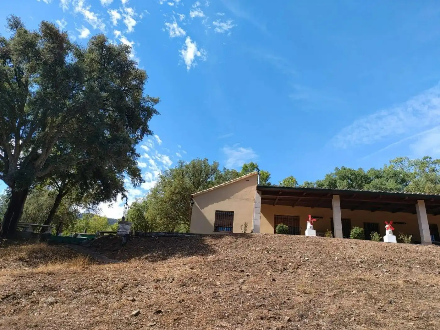 Vista exterior de Casa o xalet en venda en Fuencaliente amb Jardí privat, Terrassa i Traster