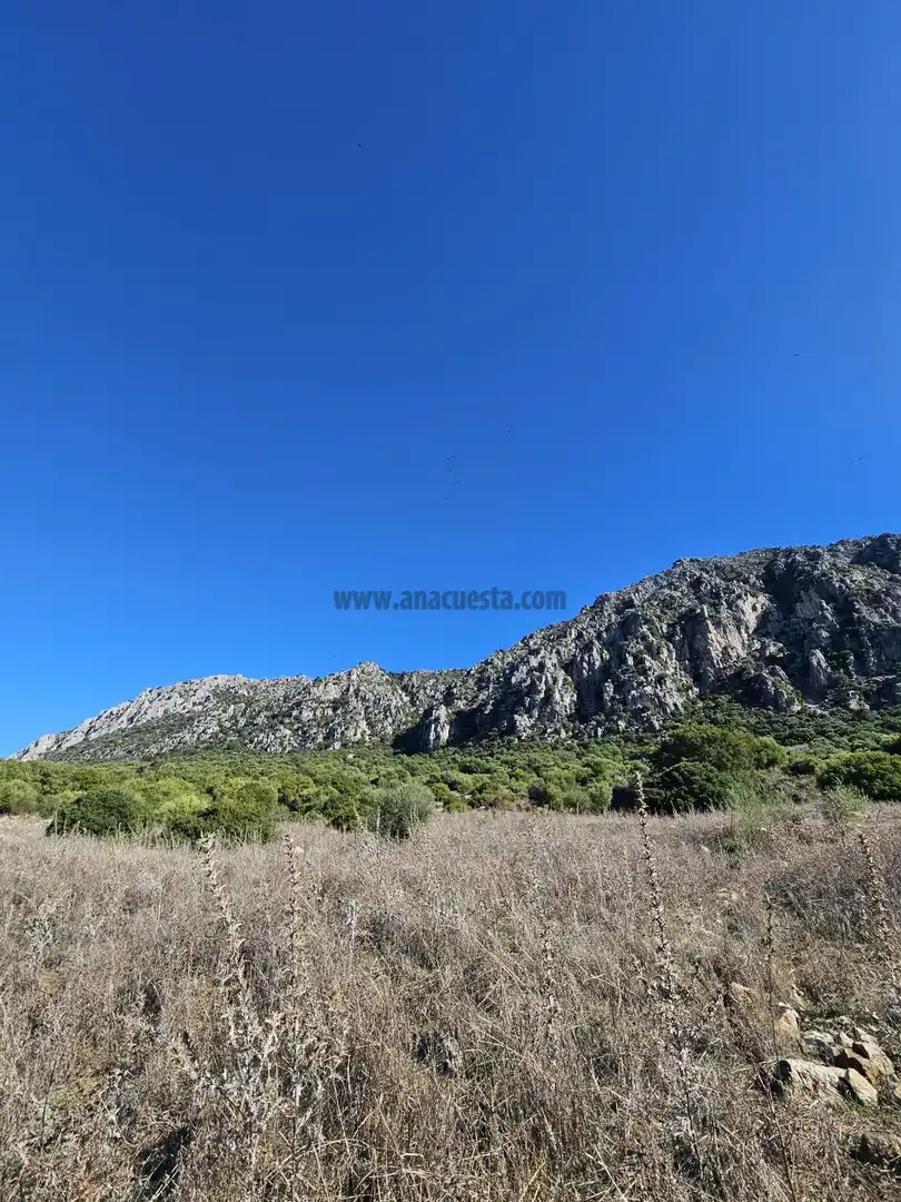 Residencial en venda en Casares pueblo