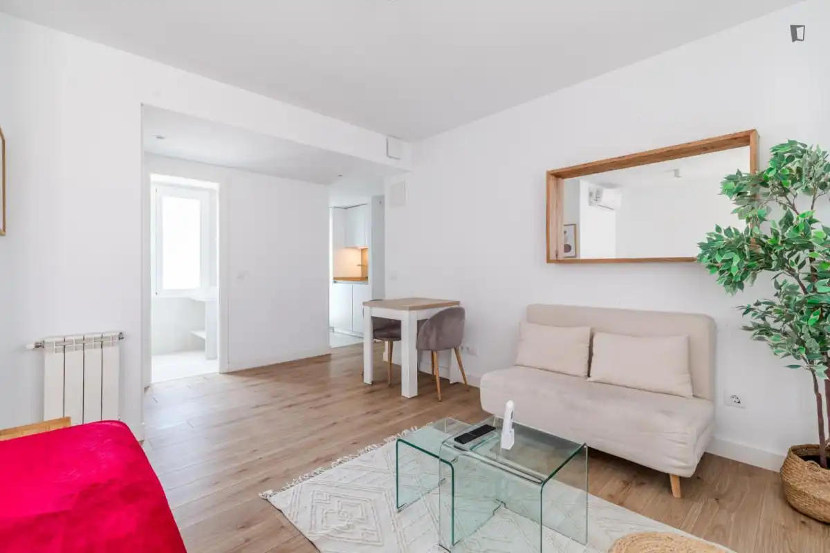 Sala de estar de Estudio de alquiler en Madrid con Aire acondicionado, Amueblado y Horno