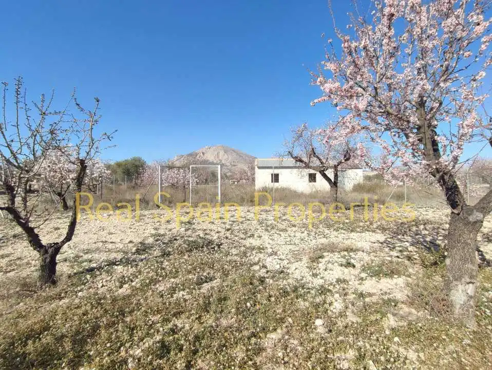 Terrenos y solares en venta en Vélez-Blanco, imagen 6