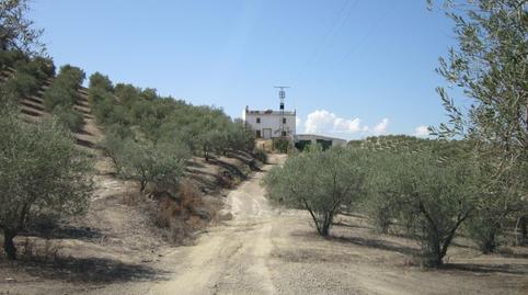 Photo 3 of Land for sale in Paraje Villar de Don Lain, Jauja, Córdoba