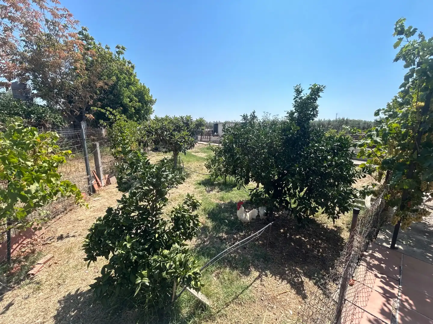 Land for sale in Oeste