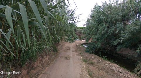 HUERTA DE REGADÍO, OPCIÓN CASETA DE APEROS, immagine 4