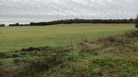 Foto 2 de Terreno en venta en Alcolea de Calatrava, Ciudad Real