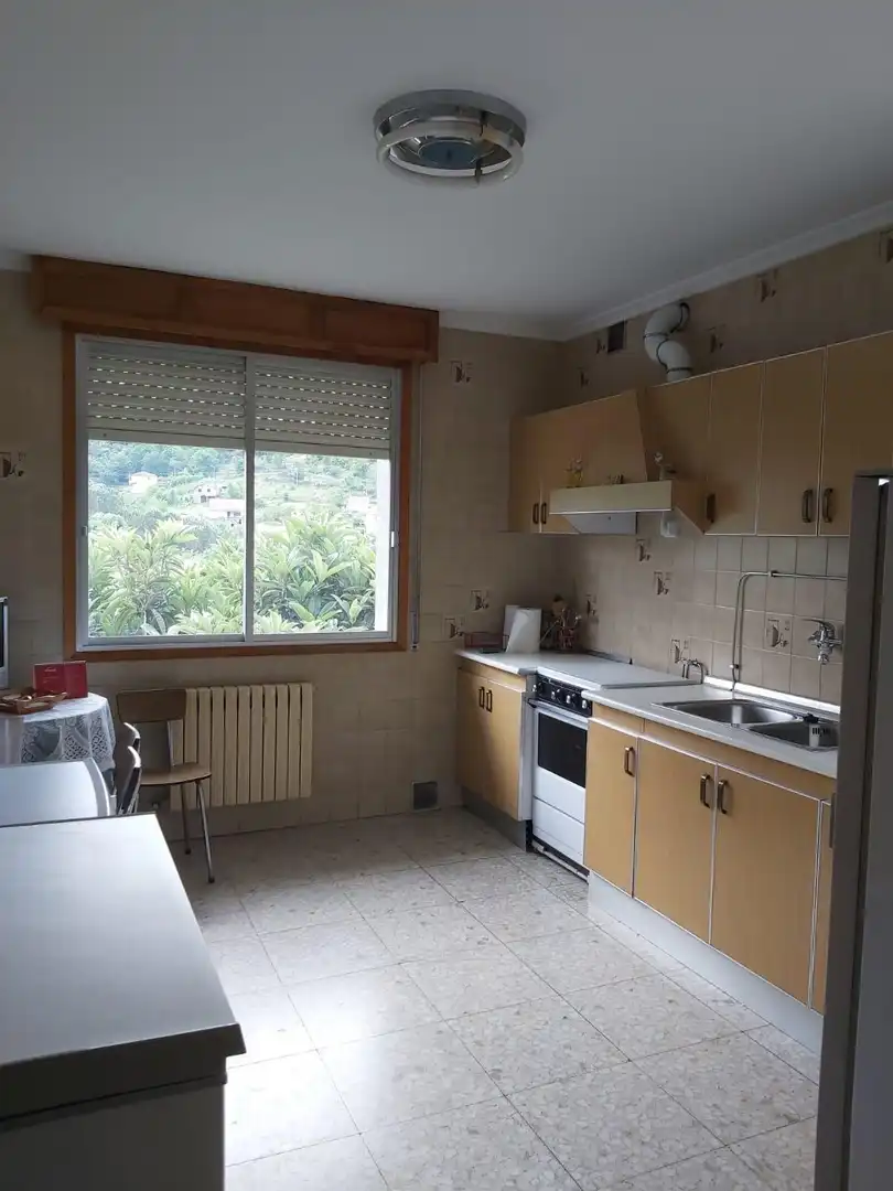 Kitchen of Houses for sale in Ourense Capital 