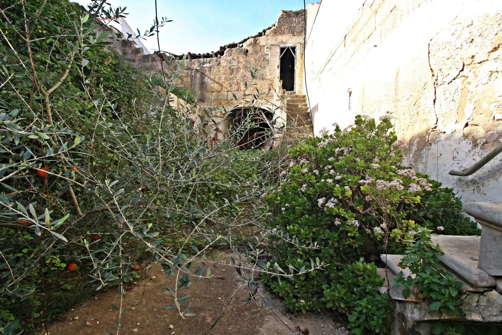 Casa amb jardí en venda a Sa Pobla, imagen 3