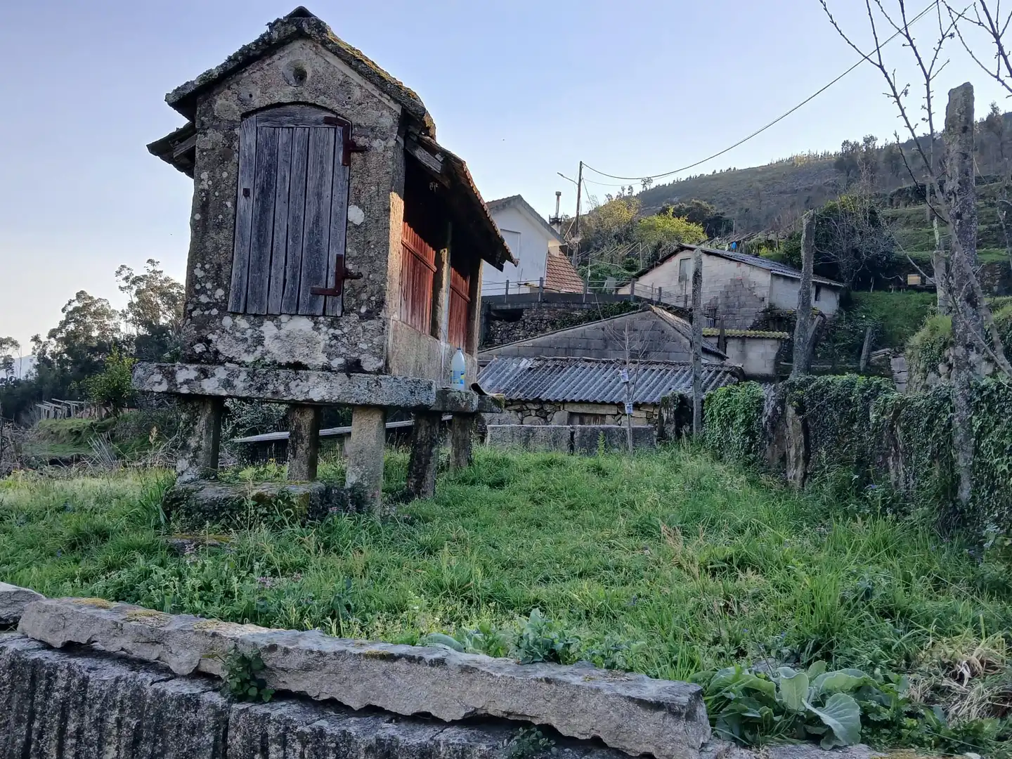 Vista exterior de Casa o chalet en venta en As Neves   con Jardín privado
