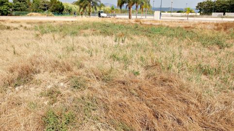 TERRENO URBANO EN PLAYA MIRAMAR, immagine 4