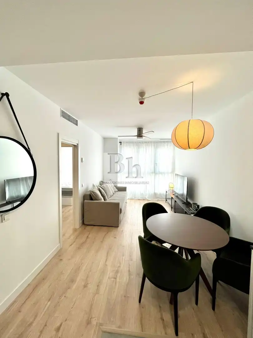 Apartament amb piscina de lloguer a Paseo de Martiricos, imagen 19