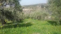 Land for sale in  Granada Capital