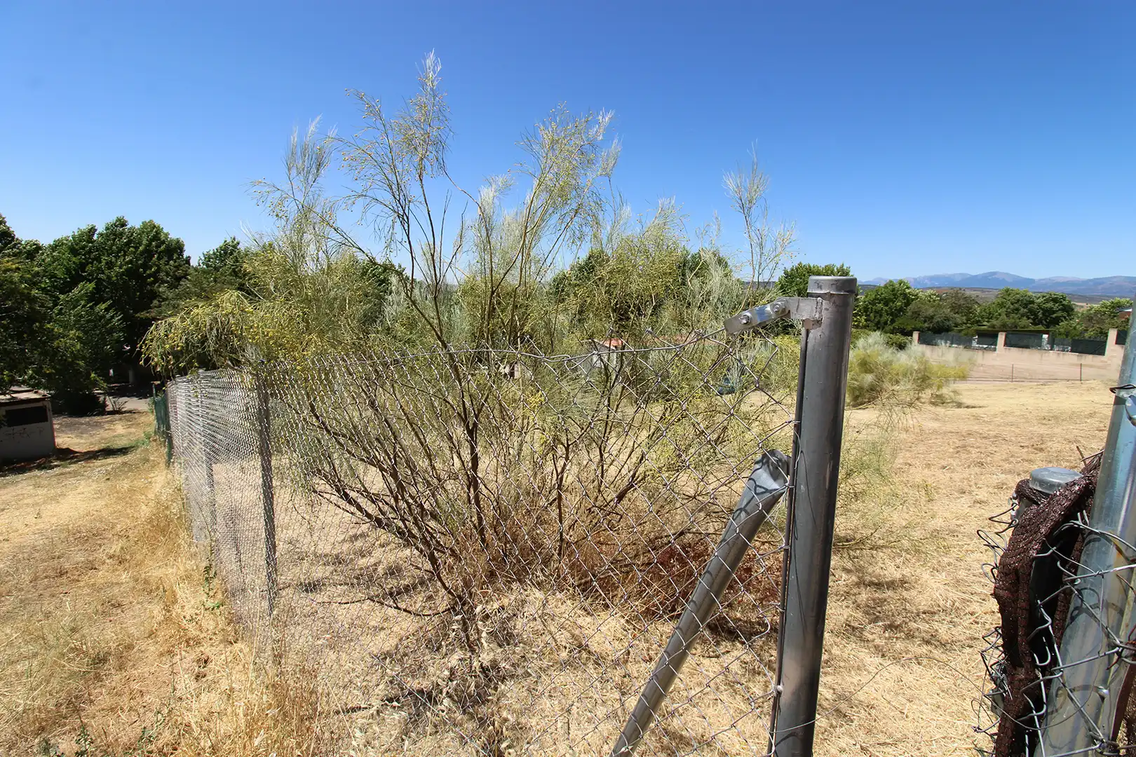 Terrain résidentiel à vendre à Uceda, imagen 7