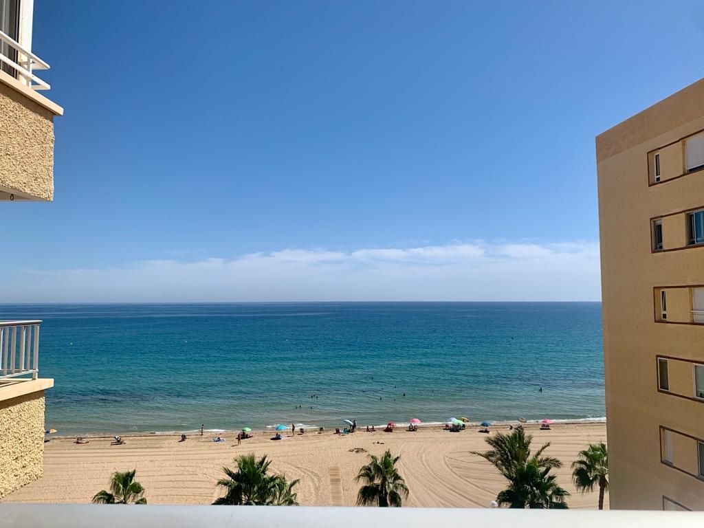 Vista exterior de Apartamento de alquiler en Alicante / Alacant con Jardín privado, Terraza y Piscina comunitaria